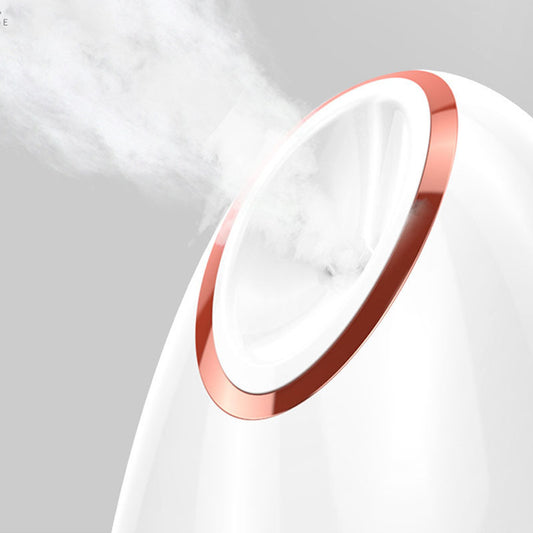 Nano Thermal Face Steamer – Deep Hydration & Radiant Glow